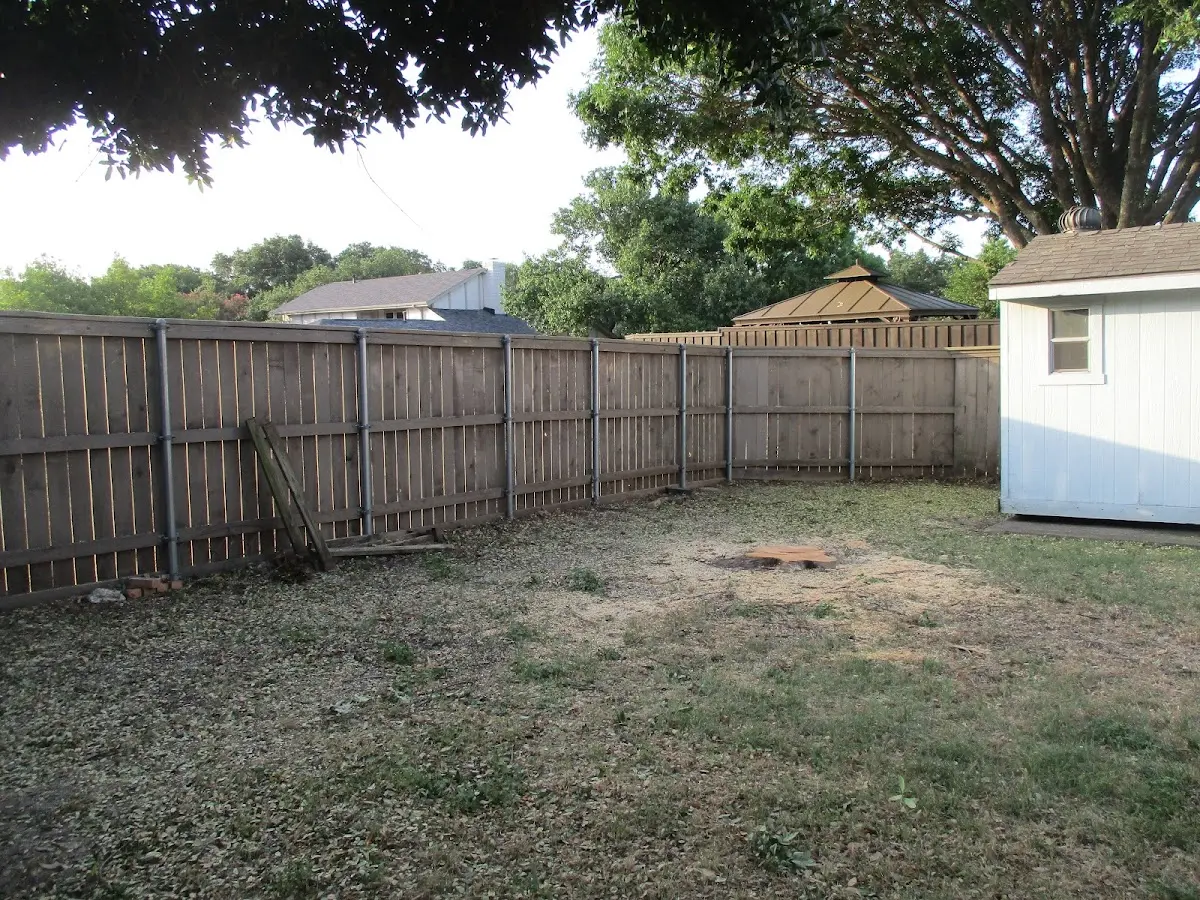 Cleared yard after professional tree removal in Trout Creek
