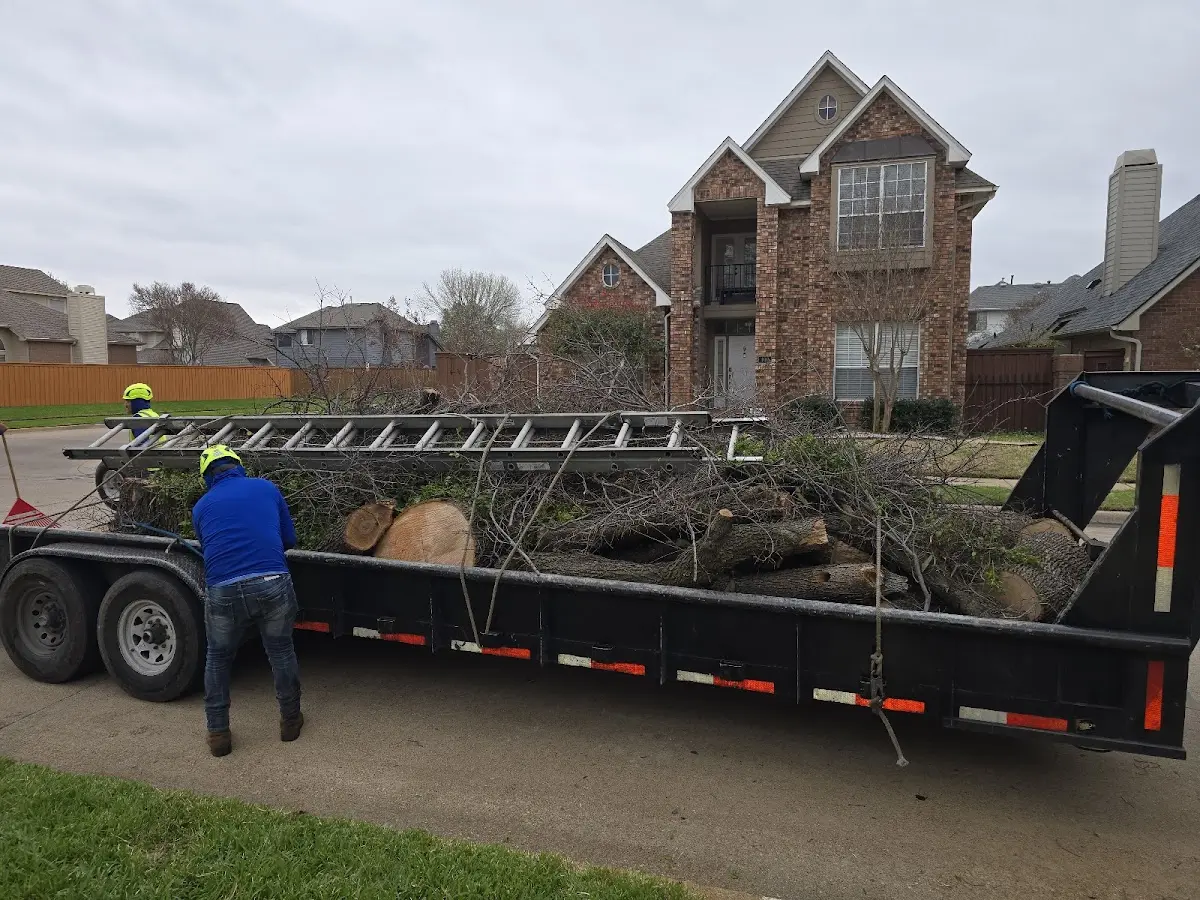 Expert Tree Fertilization with proper safety equipment in Trout Creek